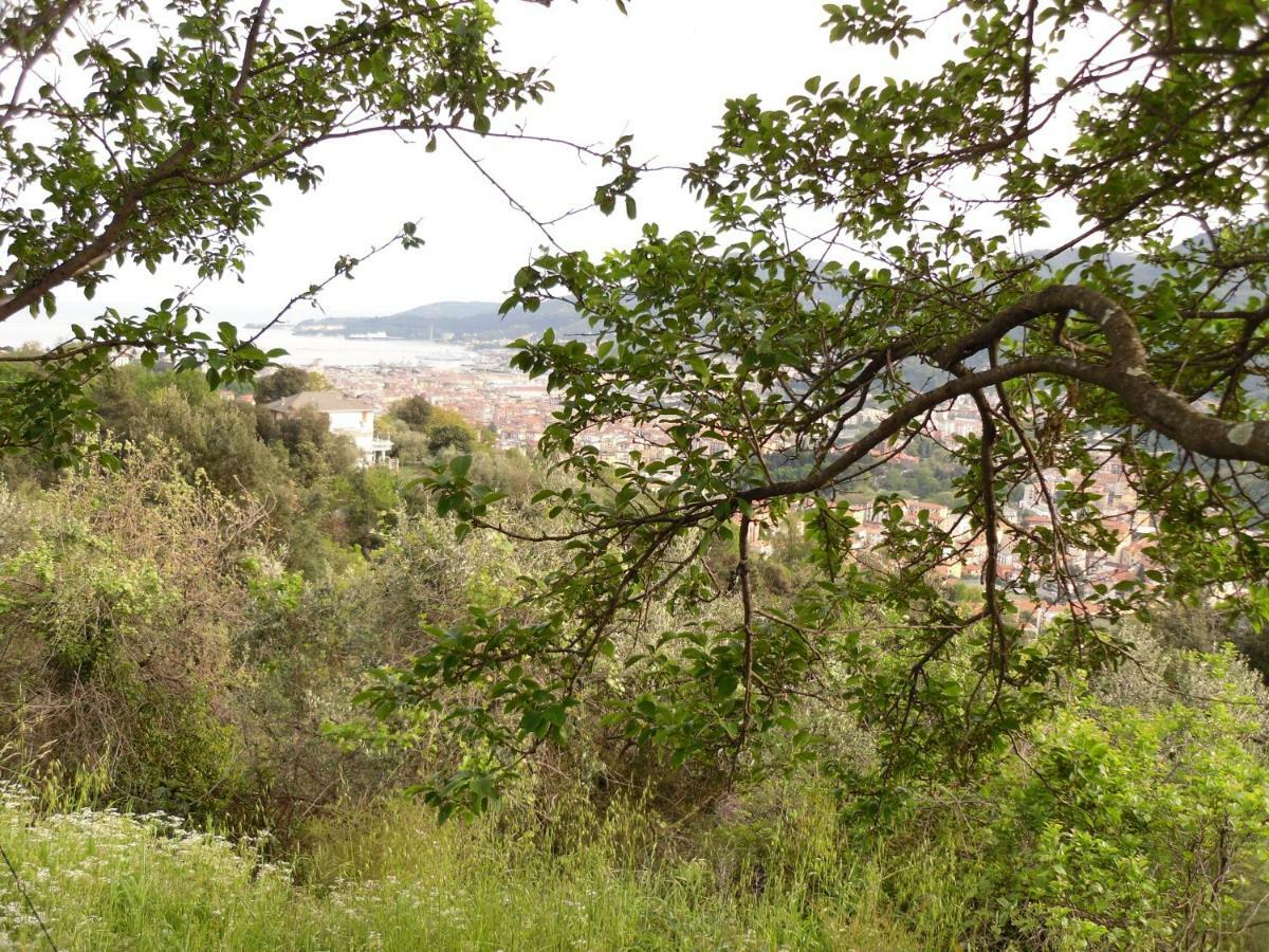Apartment In The Green Λα Σπέτσια Εξωτερικό φωτογραφία